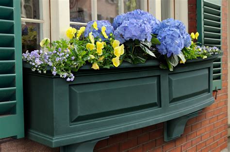 Nantucket Window Box 